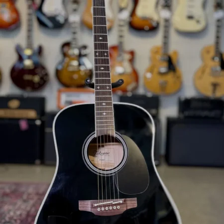 Takamine FT341